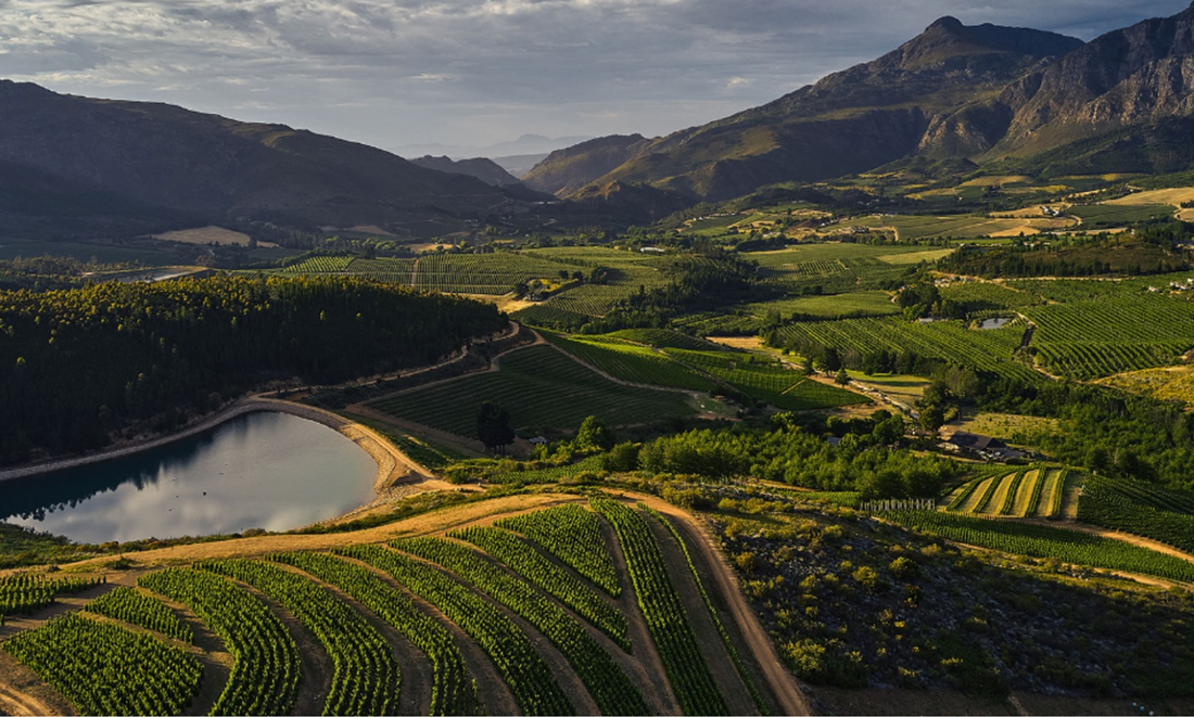 Terroir: Faz a diferença num vinho?